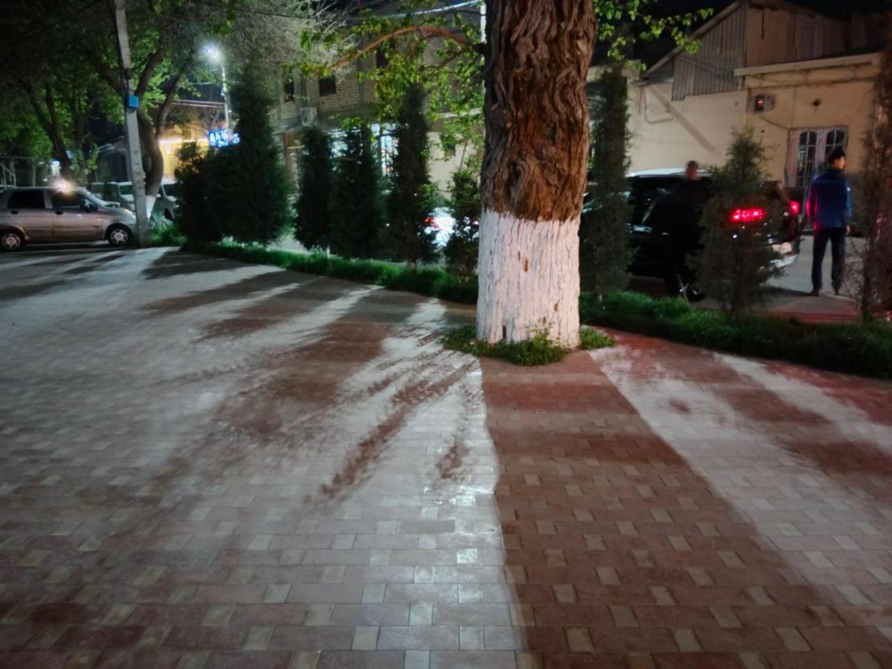 Gulsara Hostel Samarkand Eksteriør bilde